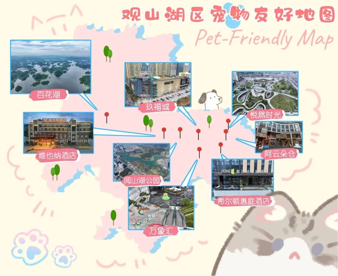 收好这份宠物友好地图~带上“毛孩子”出门感受美好春光