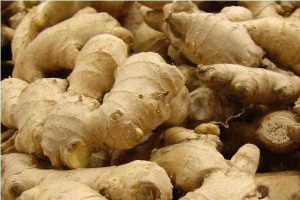 生姜几月份种植最好？