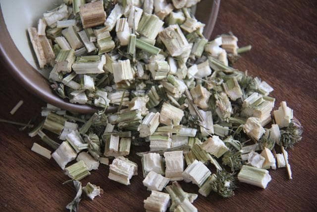 瑞龙中药大讲堂｜河南道地药材益母草