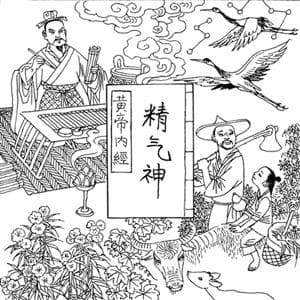 《黄帝内经》之精气神