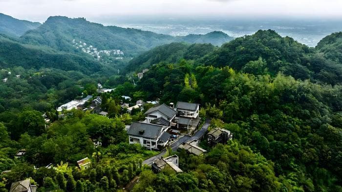 荣荣《缙云山》：表达了对生命、时间与情感的深刻感悟