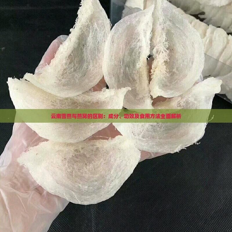 天然燕窝：云南雪燕与燕窝的区别