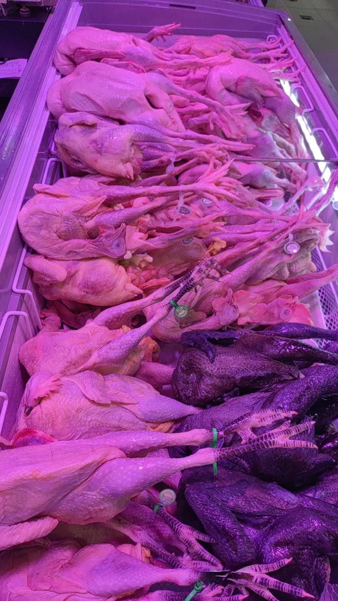 如何优化低配置电脑？专业指导让你轻松提升性能