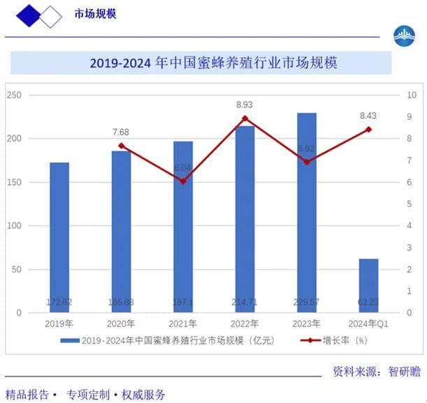 中国蜜蜂养殖行业报告：历程、壁垒、问题、产业链、市场规模及预测