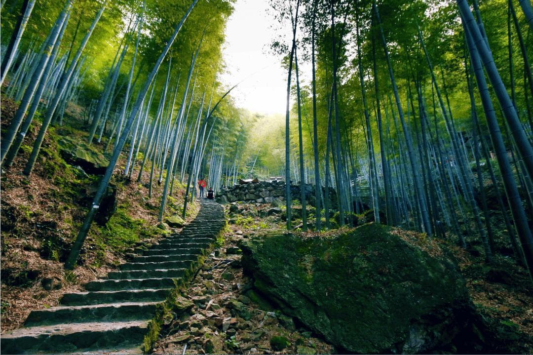 宜兴旅游全攻略 | 一处被忽略的小众宝藏景点
