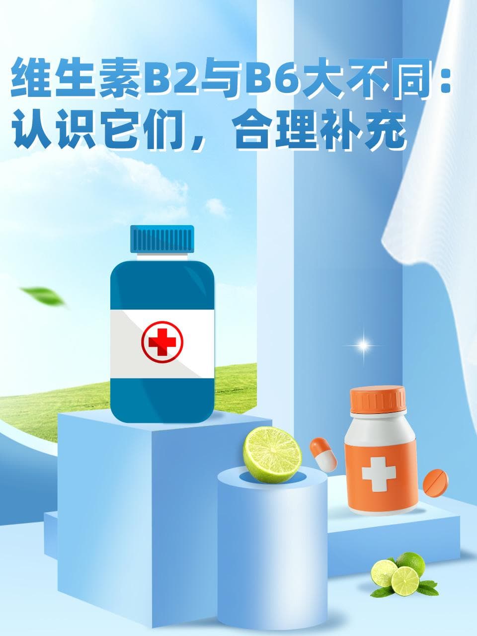 维生素B2与B6大不同：认识它们，合理补充