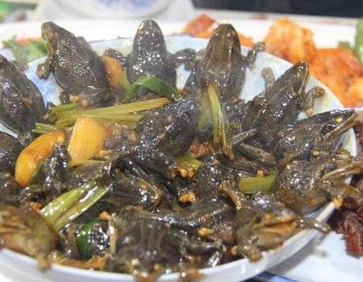 清蒸哈什蚂：东北传统名菜的文化传承与制作工艺