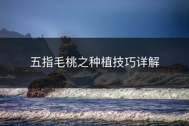 五指毛桃之种植技巧详解
