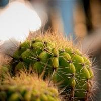 神舟战神bios设置详解