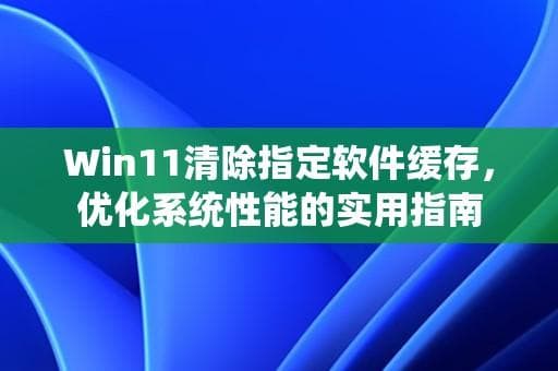 Win11清除指定软件缓存，优化系统性能的实用指南