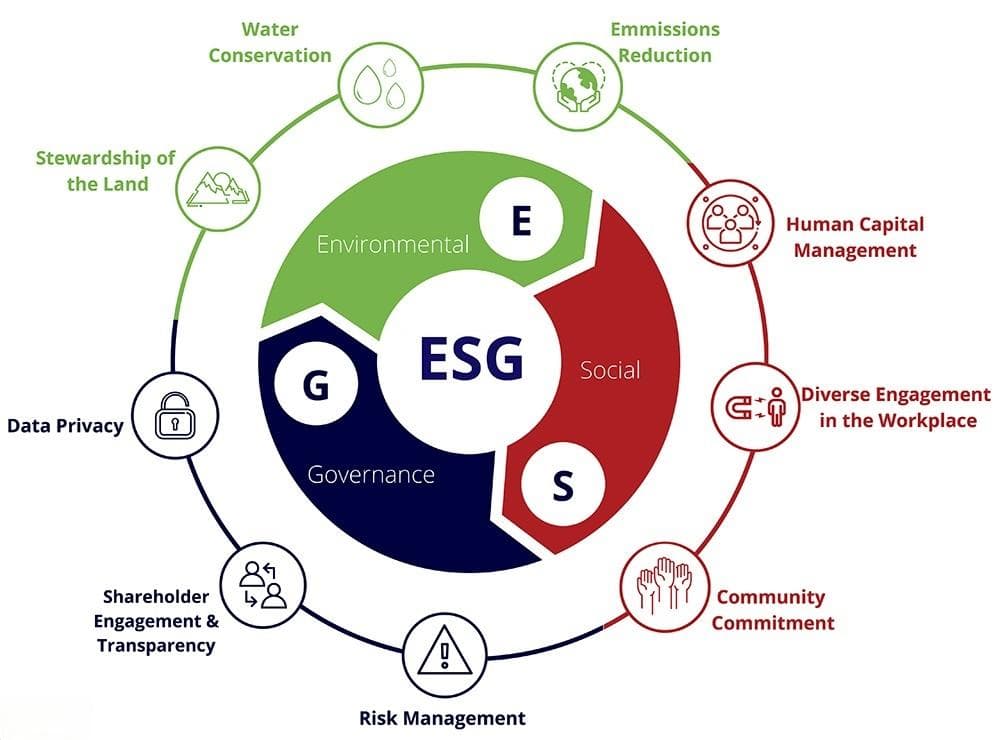 ESG表现如何驱动价值与盈利能力