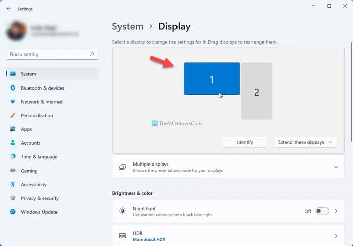 在 Windows 11/10 中为多个显示器设置不同的显示缩放级别