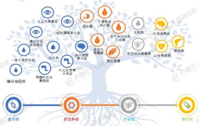 2024年CGT领域创新趋势：应用领域拓宽、治疗策略革新、成本降低