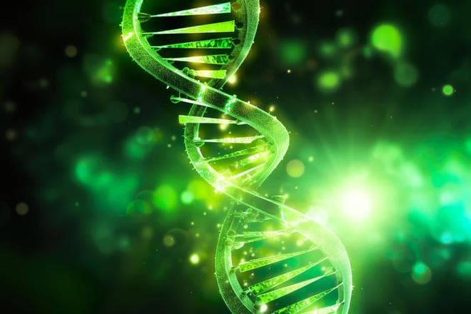 牛津大学最新研究：揭示37 个关键基因与生殖健康和长寿的秘密