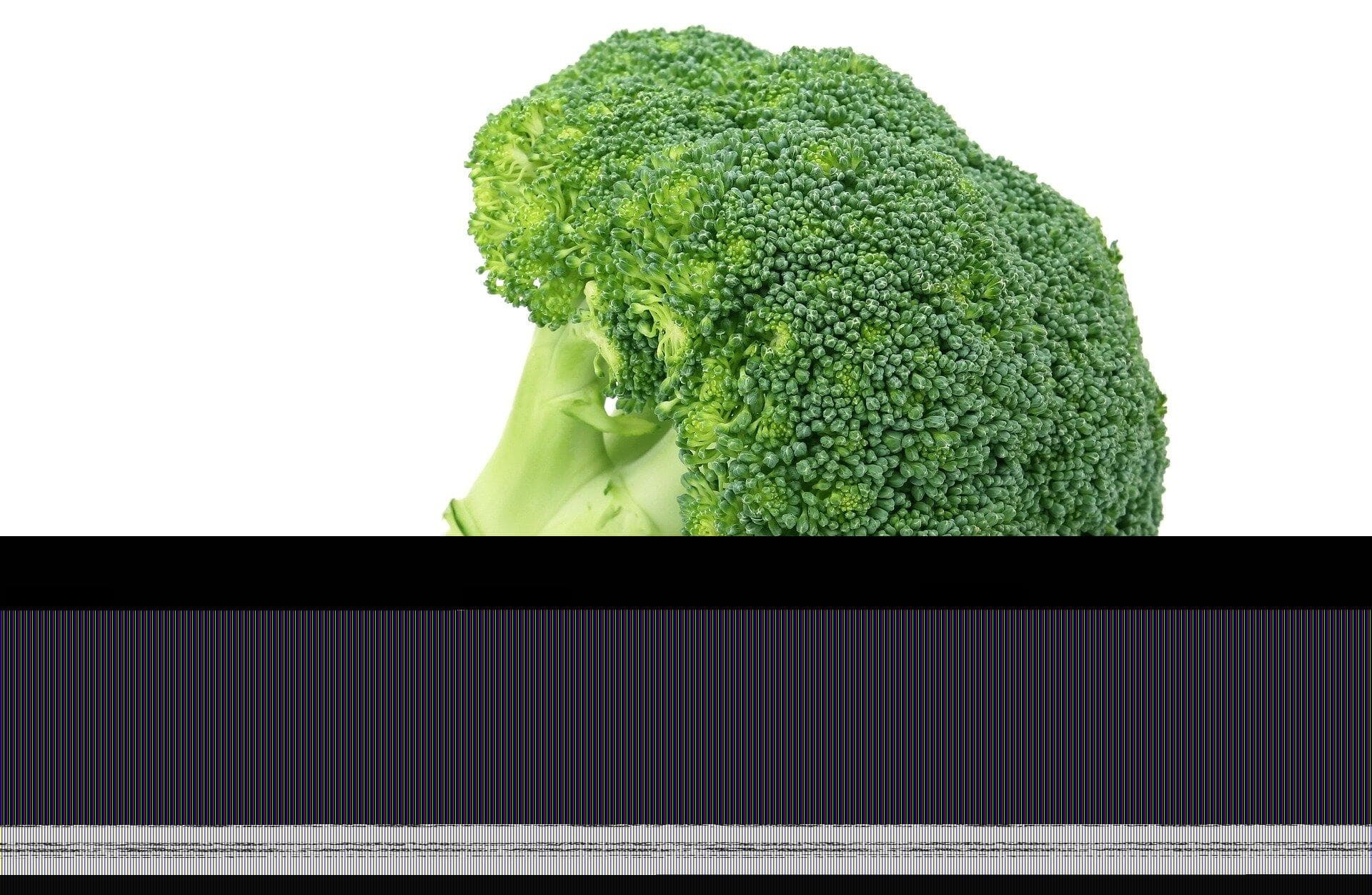 6種適合減肥中吃的蔬菜  超簡易料理方式一次上手