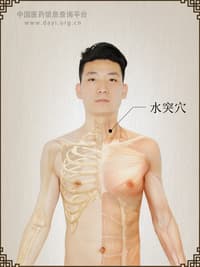 水突穴：定位、功能与临床应用详解