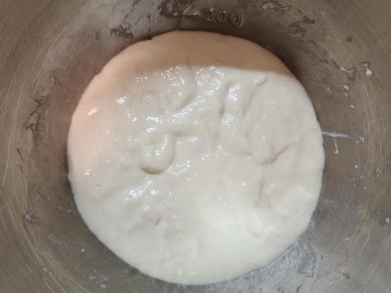 波兰种：当日常温法/隔日冷藏法○面种