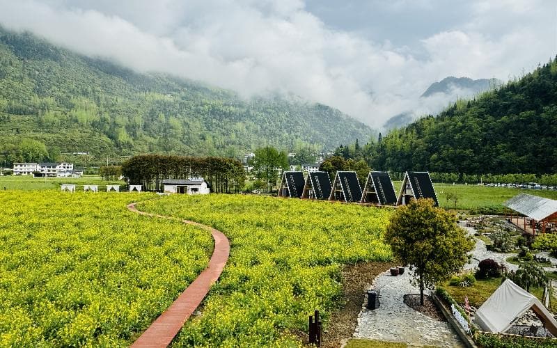 湖北省恩施市：绘就绿水青山振兴图