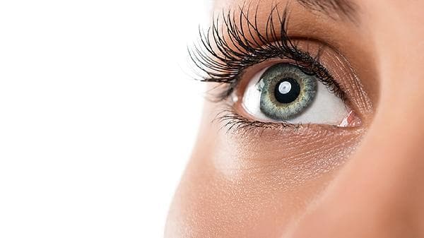 飞蚊症：成因、症状与科学应对方法