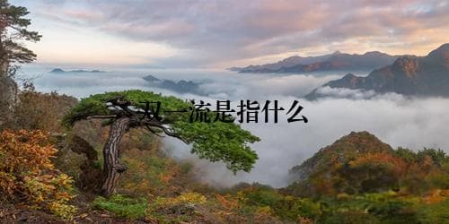双一流战略：中国高等教育的新篇章