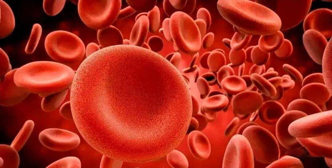人死后会发生啥？或变成似曾相识的世界中的可怕生物？