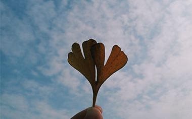 打官司赢了诉讼费和律师费谁负责