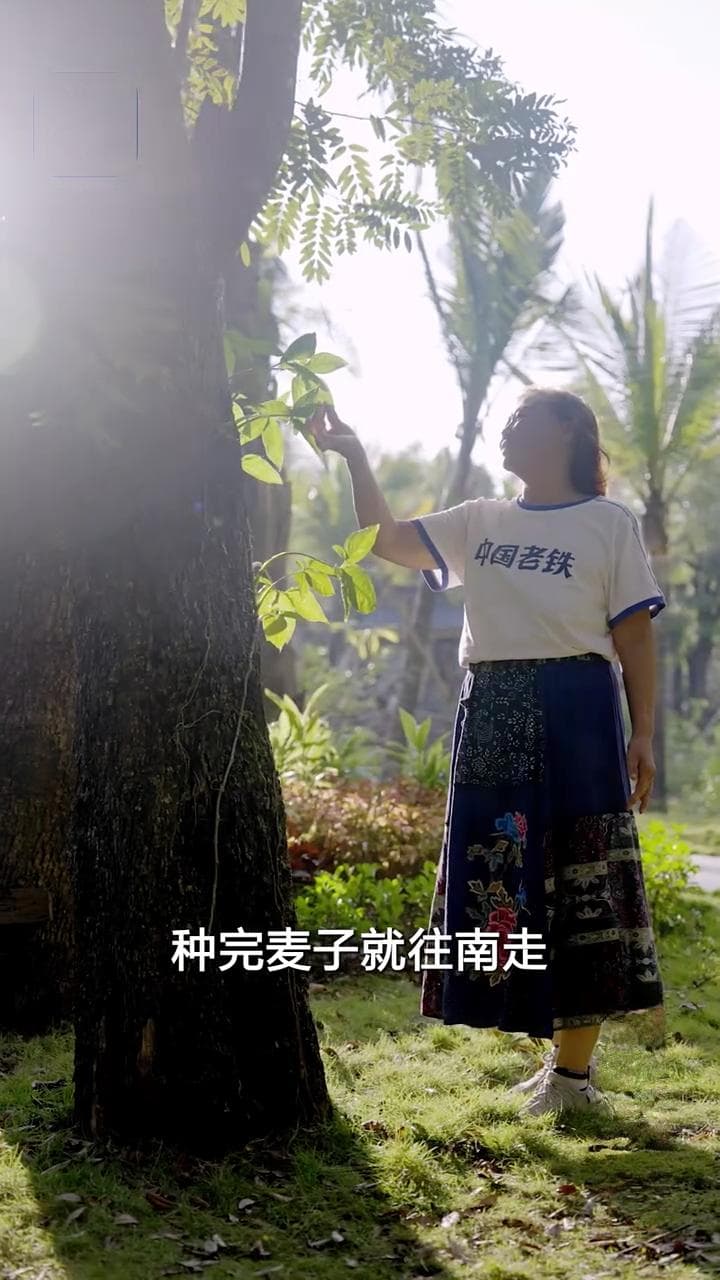 象舞指数｜质朴·温情·诗意，温暖现实主义的短视频人物故事