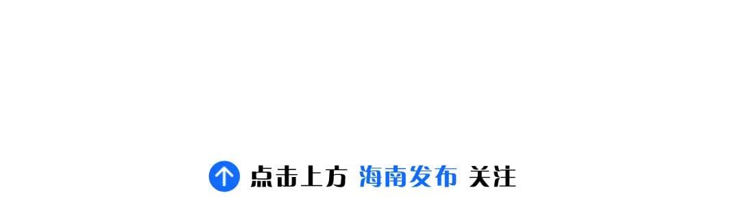海南如何发挥优势，走好绿色发展之路？这些大咖支招了