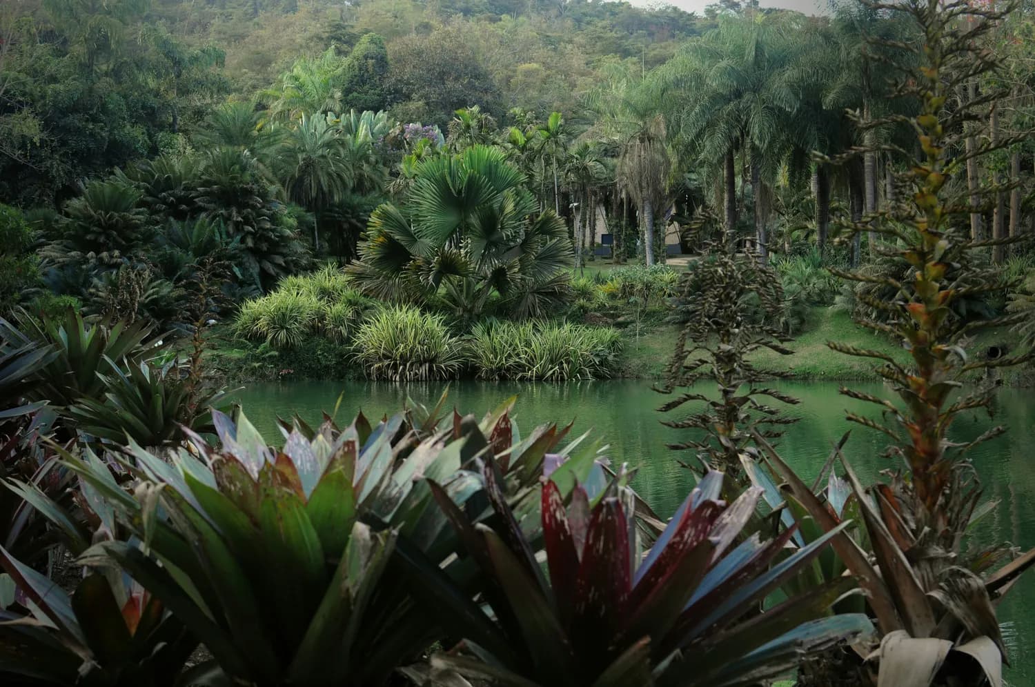 兴隆热带植物园：海南岛上的热带植物王国