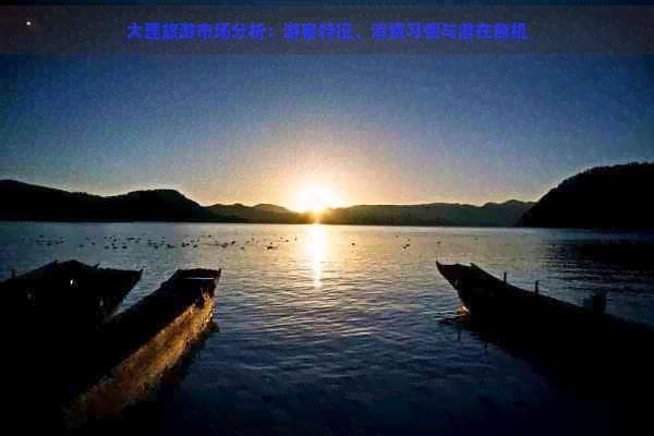 大理旅游市场分析：游客特征、消费习惯与潜在商机