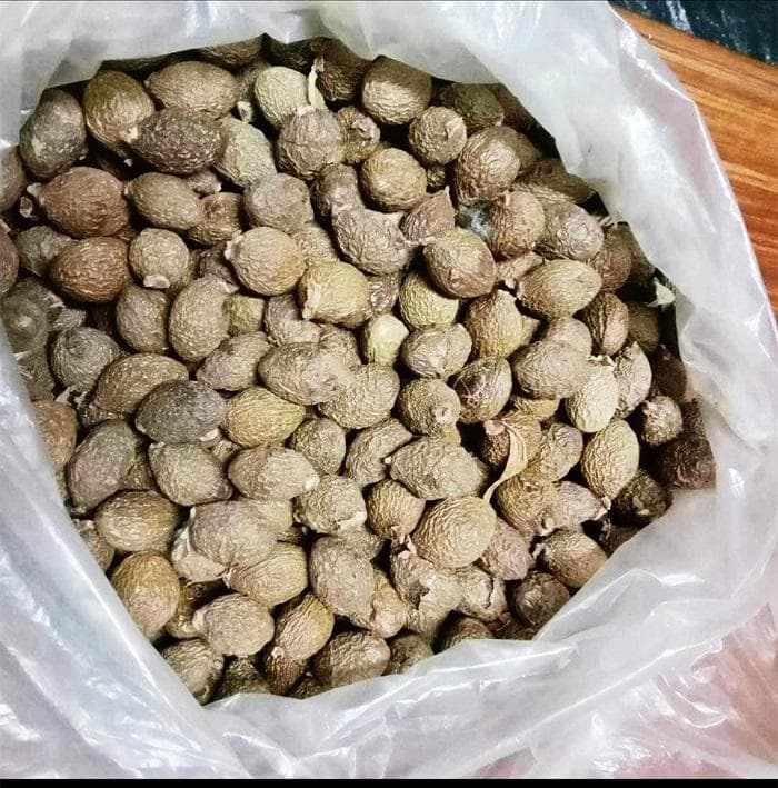 胖大海多重因素影响致其行情不稳
