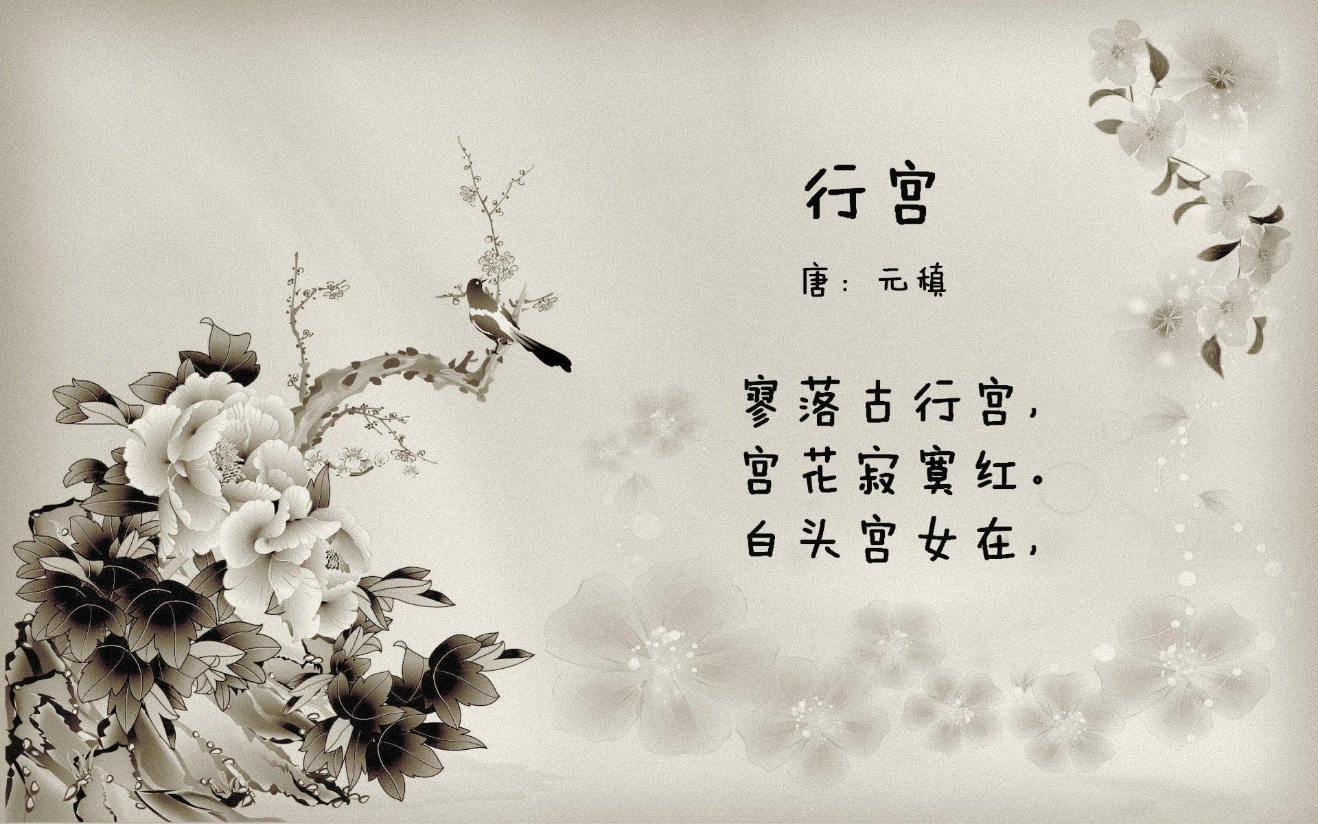 网站流量与带宽，如何优化网站性能，提升用户体验