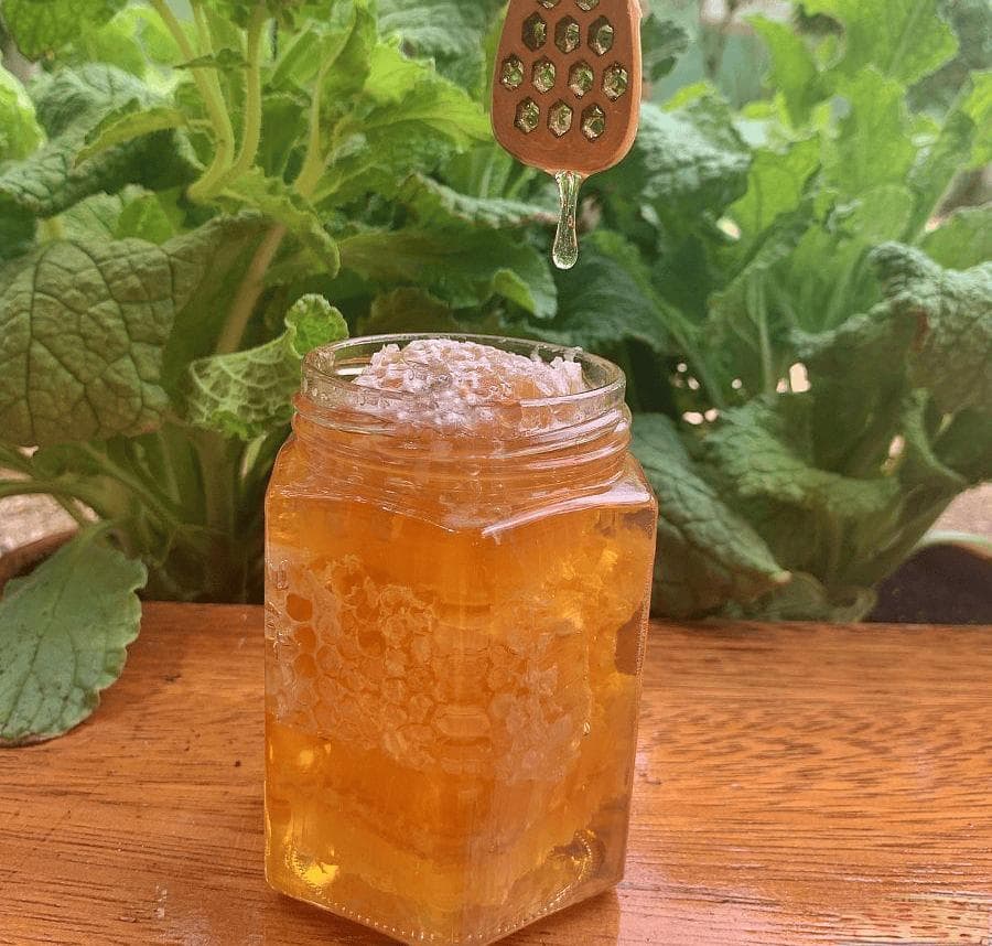 蜂蜜在中药中的作用？蜂蜜的作用与功效 一文看透！