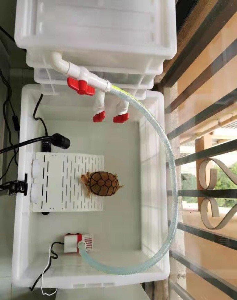 水族箱过滤器完全指南：六种过滤方式详解