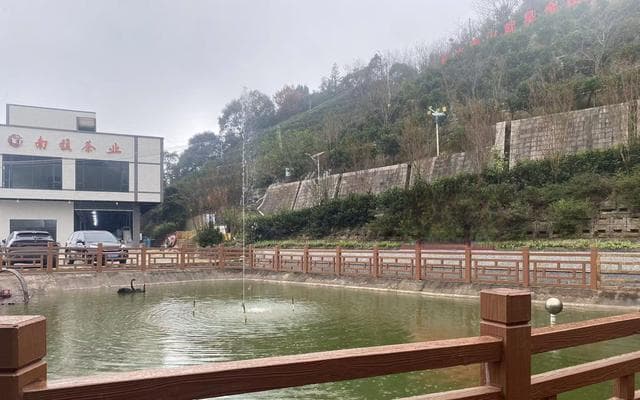 潮州市以茶旅融合带动乡村振兴发展 推进凤凰茶谷示范带建设