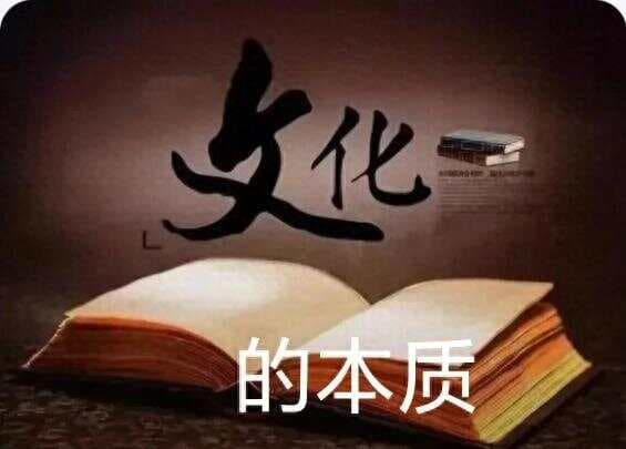 文化的本质是什么？