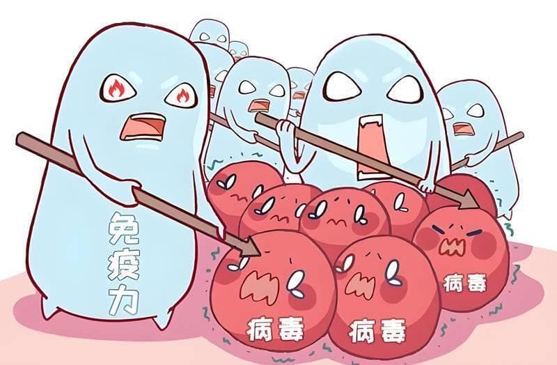 脾胃与五脏，健康连环扣