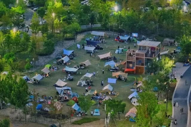 公园草坪帐篷区如何规范管理？这些“金点子”告诉你