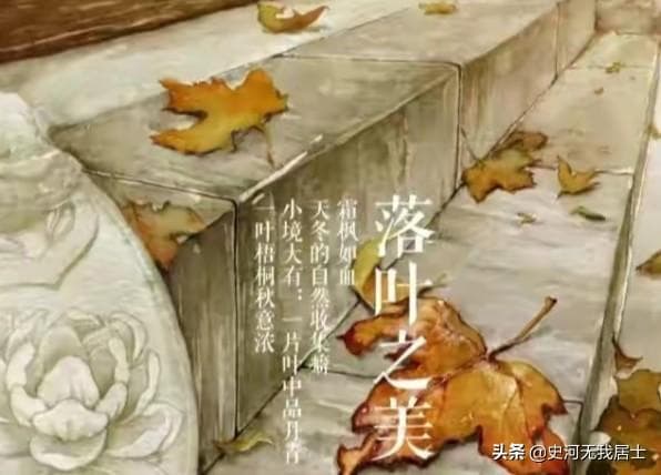 物候现象指的是什么（自然之物候）