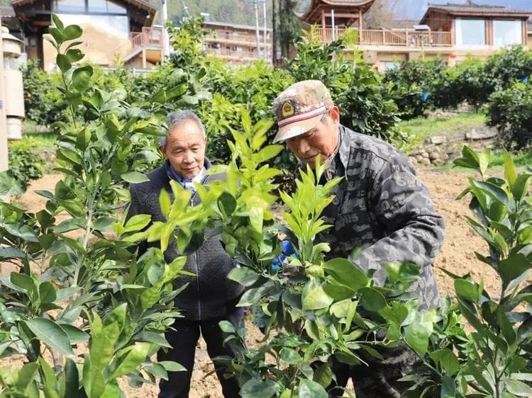 毛相林：在田野上书写履职答卷