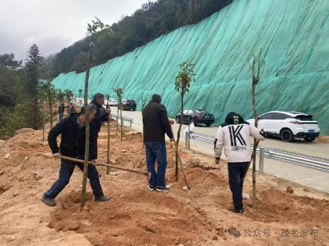 全民参与！信宜：厚植生态绿底色，绘就绿美新画卷