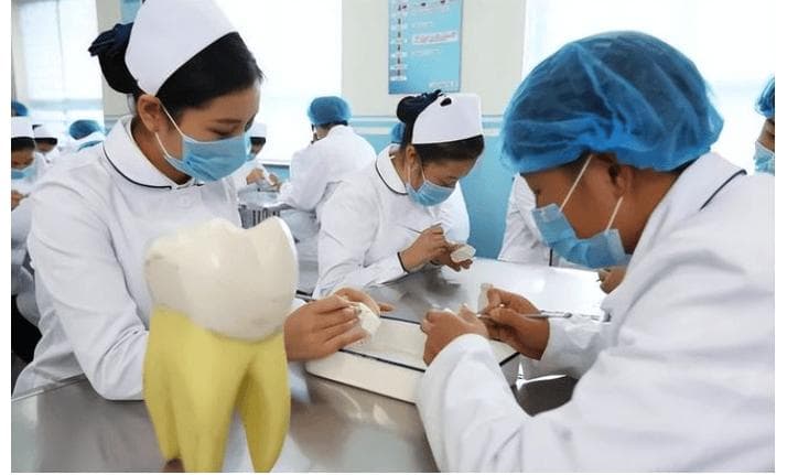 营养与健康：科学饮食，助力美好生活