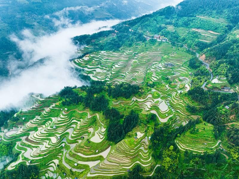 航拍贵州加榜梯田：云雾缭绕 风景如画