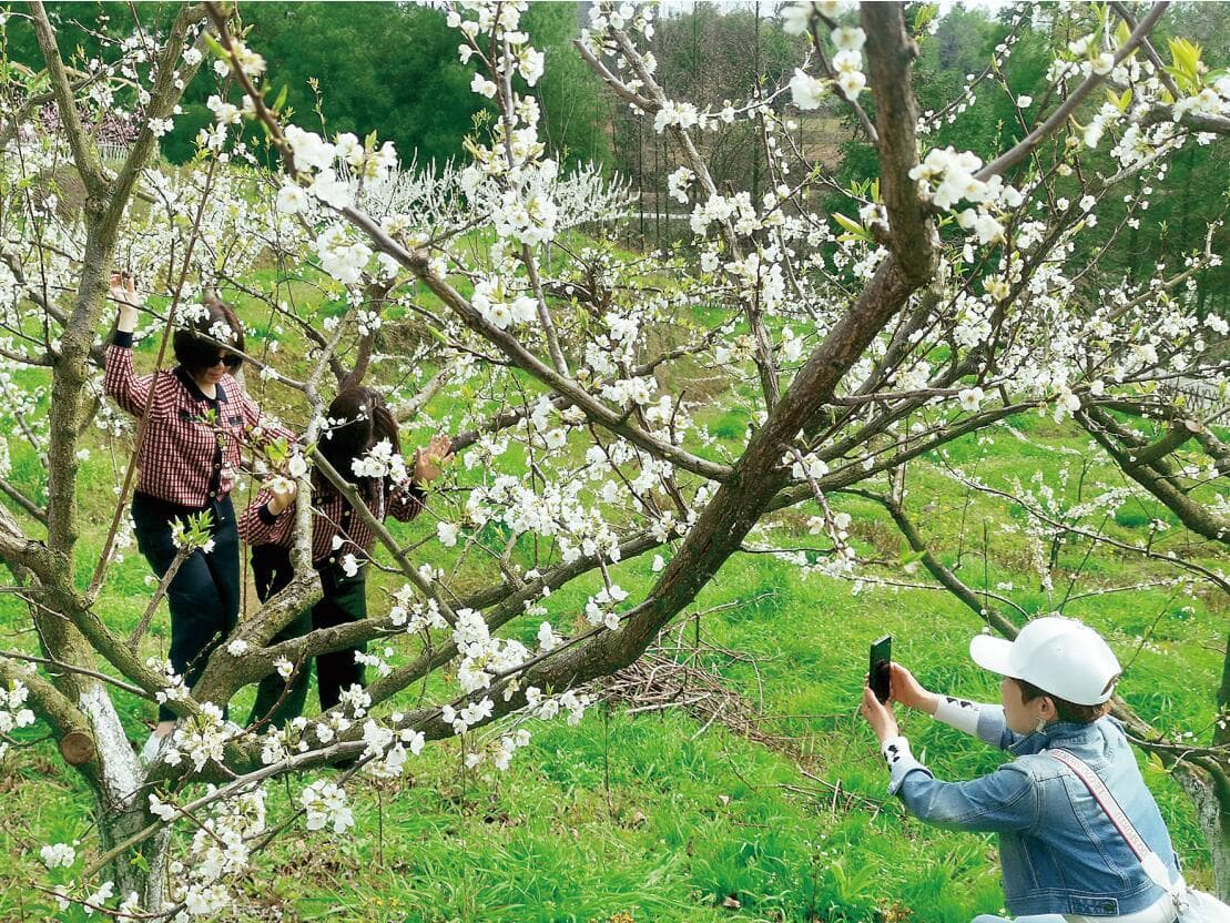 重庆开州磨梁村：特色产业赋能乡村振兴