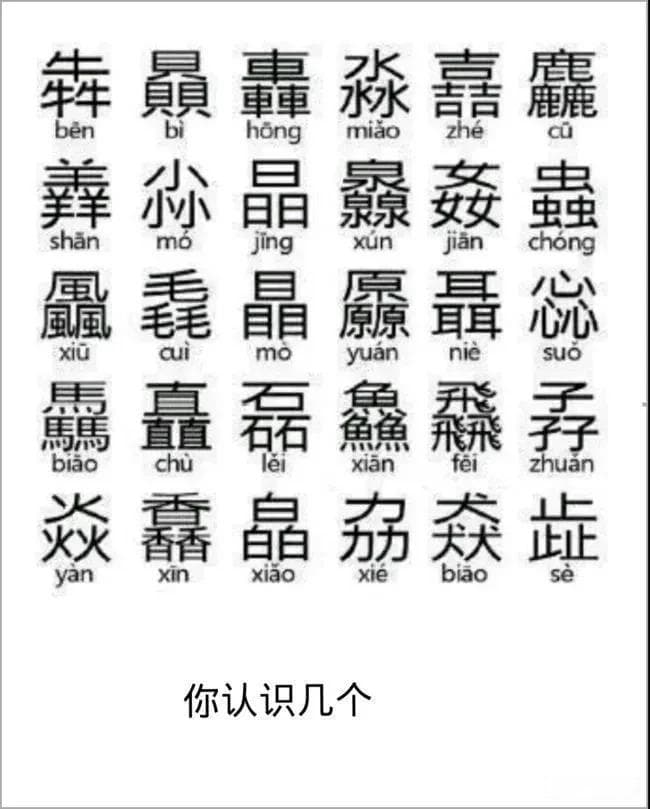 生僻字：中华文化的瑰宝与传承