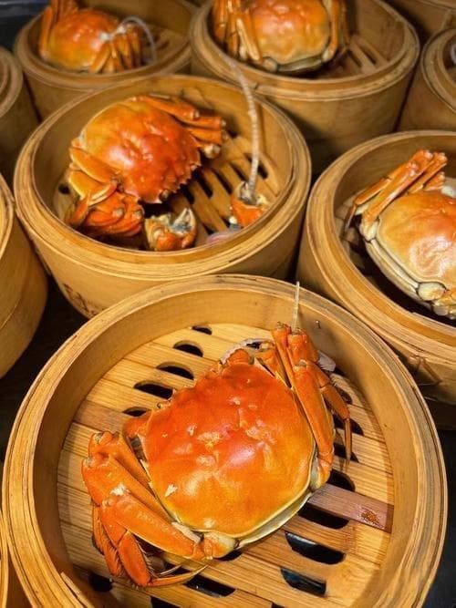 从心理学角度看抵触情绪的成因及其影响