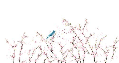 夏季蚊虫渐多，警惕“虫咬性皮炎”