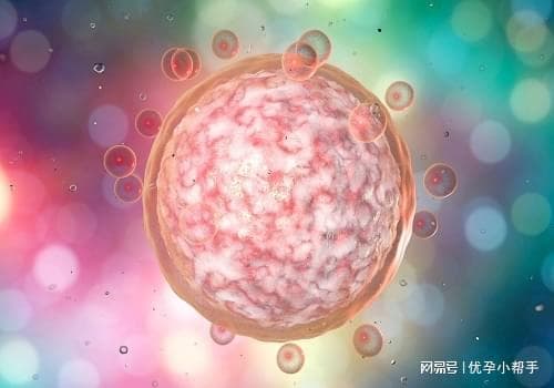 如何增加对怀孕期间疾病的预防和控制