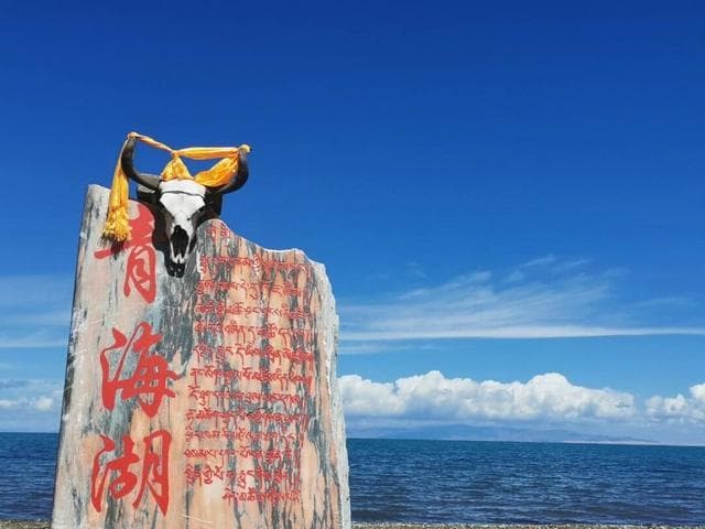 探秘青海湖，高原明珠的神奇之旅，湖光山色尽入眼底！
