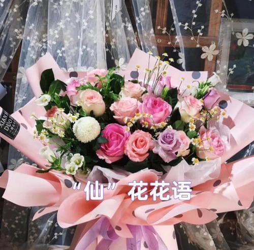 春天的花语：哪些花朵象征着新生与希望？